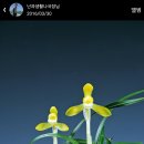초우정 이미지