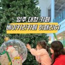 [동두천/양주] 크리스마스 느낌 낭낭한 대형 베이커리카페 하패리 61🎄