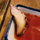 사시미가 맛있는 구월로데오 술집 압구정수산시장 구월점