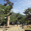 강북중학교 이미지