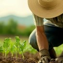 상승농장 이미지