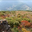 능선목장 이미지