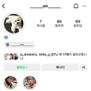 호텔 프라다 | 8일차, 에펠탑뷰 풀먼파리 호텔 저층뷰 후기⭐️ 라파예트 백화점, 셀린느 프라다 쇼핑, 틴 트리옹프 백...