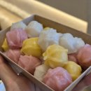 조치원청사 | [ 조치원카페 모시울 다양한 떡 디저트가 있는 감성 카페 ]