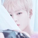 핑크장 이미지
