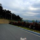 (주)애니언파크 이미지