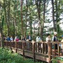 오랍드리산소길 이미지