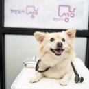 남부동물병원 이미지