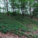 삼청농장 이미지