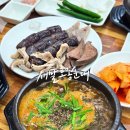 내고향횡성한우 | 횡성 맛집 새말토종순대, 백반기행에 나온 장순대국밥 먹어본 후기