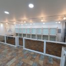 세상 편하개 이미지