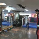 마포수년복싱체육관 이미지