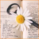 싸왓디 태국어 이미지