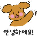 석모도 부자캠핑 이미지