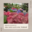 의정부꽃농원 식물 집사들 성지 해성꽃농원 찐 방문 후기