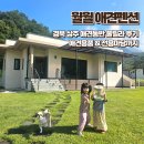 월월애견펜션 이미지