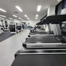 디에스짐 이미지