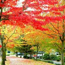 최*옥 - 안양시 만안구 병목안로110번길 | 최*옥