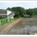 위례초등학교 이미지