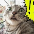 헤나헤어 - 남구 용대로 174 | 헤나헤어