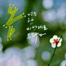 오늘도예쁘게 이미지