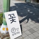 꽃피다 | 식충식물 파리지옥 에버잼 정관꽃집 꽃피다 구매후기