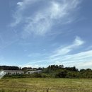 행운서점 | [제주 서점 추천] 애월 책방이다, 감성 가득한 실내데이트 후기