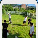 컴투펫 위탁보호센터 이미지