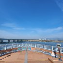 황산 | 양산 황산공원 기차 타고 다녀온 후기 벚꽃 개화 상태