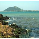 시흥리-6 이미지