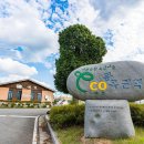 [웰촌] 1박도 좋고, 당일도 좋은감성 듬뿍 캠핑&amp;피크닉 여행지 이미지