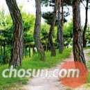 초록숲공원 이미지