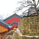 도림사 오토캠핑장 이미지