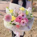 수정초등학교 | 진주 어버이날 카네이션 꽃바구니 주문 24시 꽃집 평거동 베리푸딩