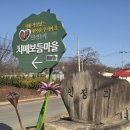 신녕면-연정2리-1