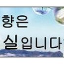 영농법인임실생약 이미지