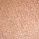 하울라스틱 이미지