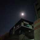 하남그린지게차