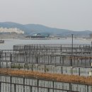 본오초 이미지