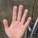 웨어하우스 짐 이미지