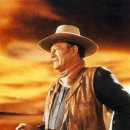 (주) 지닌 이미지