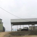신덕바지락마을기업 이미지