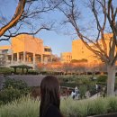 장관빌라 | 🇺🇸신혼여행기: 게티센터 게티빌라 비교 후기