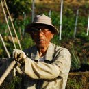 백수 농장 이미지