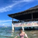 마리키친 | 세부여행 모알보알 칠리바 거북이 명소 추천, 모알보알 오션뷰 레스토랑 베란다키친 후기