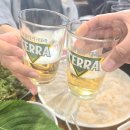 목포세꼬시 회 스시다네 | 용산 횟집 목포명가 용산점 도다리 회 도다리쑥국 봄맞이 제철 용리단길 맛집