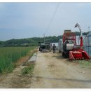 금고2리 이미지