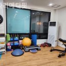 라파리메디핏 이미지