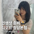 압구정로데오 헤어메이크업 디오드 청담본점 핑크피치 후기