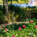 사진회 6월 출사(보라매 서울국제정원박람회) 이미지